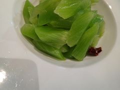 -椿不老