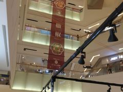 中空-岭南站NOVA