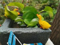 -风车面包