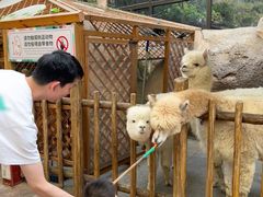 -杭州开元森泊度假乐园