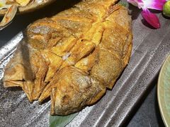 -古田居·特色寿司料理(骏欣中心店)