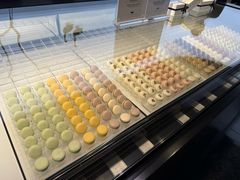 -BLACKSWAN黑天鹅(环球店)