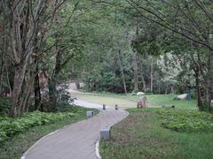 -青龙山国家森林公园