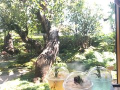 -Chom Cafe and Restaurant