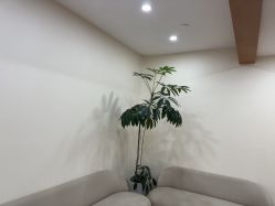 -HEYAN荷妍专业脱毛连锁机构