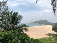 -广东惠东海龟国家级自然保护区