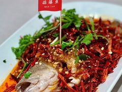 -杨氏青龙虾·羊蝎子(珠江路店)