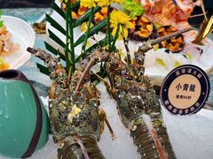 -喜聚薈·花膠雞海鮮火鍋(越秀店)