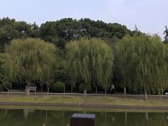 -上海鲜花港