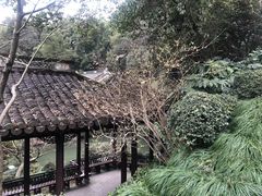 -杭州黄龙洞