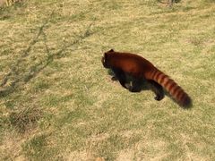 -泉州海丝野生动物世界