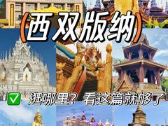 -西双版纳原始森林公园