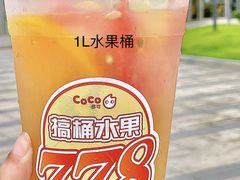 -CoCo都可(江宁托乐嘉店)