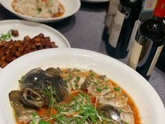 -连鹭海鲜·海肠捞饭·海胆饭(星海店)