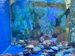 -辉哥火锅(虹桥路店)