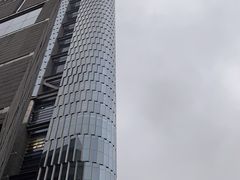 -紫峰大厦