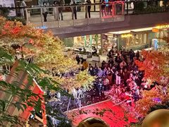 -瑞虹新天地月亮湾