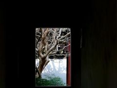 -秋霞圃