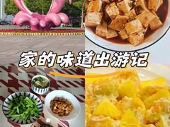 -天鹅到家·保姆月嫂育儿嫂(南开店)