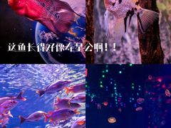 -正佳极地海洋世界
