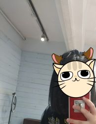 -艾嘉形象
