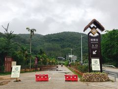 -海南槟榔谷黎苗文化旅游区