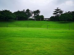 -深圳湾公园(南山区)