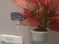 -鹿港小镇(黄金店)