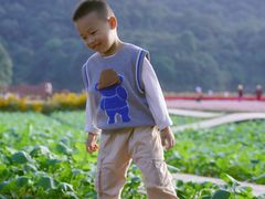 -广州市石门国家森林公园