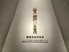 -秦始皇帝陵博物院-丽山园
