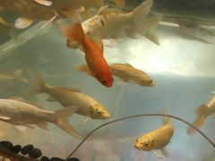 -中影国际影城(兰生大厦店)