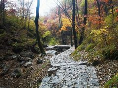 -驼梁风景区