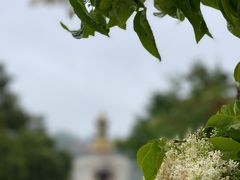 -兰亭安泊牛肉面(乐都路店)