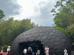 -中国西峡恐龙遗迹园