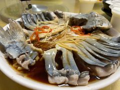 稀鳞硅鱼-煲来饱去冷水鱼