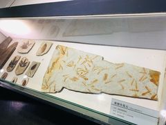 -中国第四纪冰川遗迹陈列馆