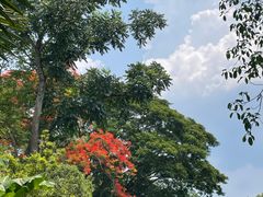 -中国科学院西双版纳热带植物园