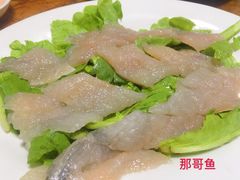 那哥鱼-金砂阿洲鱼册店