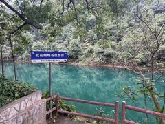 -鼎湖山风景区