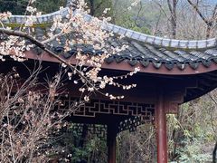 -杭州半山国家森林公园