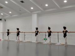 -西安小天鹅艺术团(曲江Alice店)