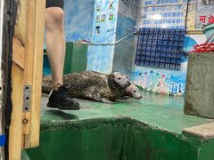 -嘉兴海底世界