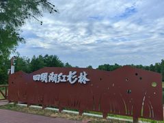 -四明湖