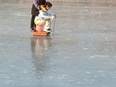 -前关湿地公园