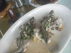 -八仔大富楼·河鲜(西江店)