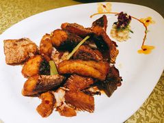 -刘胖子家常菜·蹄花焖藕(中南店)