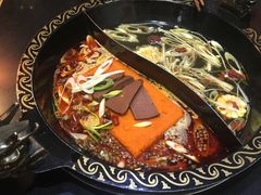 -渝大龙重庆火锅(温泉月亮湾店)