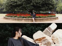 -灵谷景区