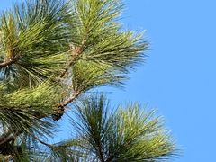 -艾溪湖湿地公园