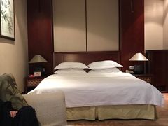 -鱼凫国都大酒店温泉
